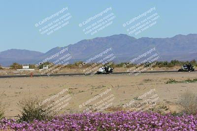 media/Jan-22-2023-CVMA (Sun) [[66d43cdebf]]/Race 11 Stock 1000 Shootout/